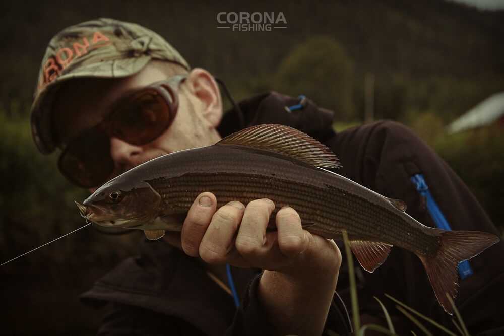 wędkarstwo skandynawia